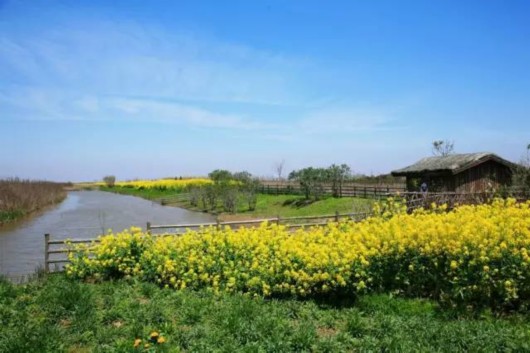 【旅游大文字】隐藏在魔都的三生三世美景