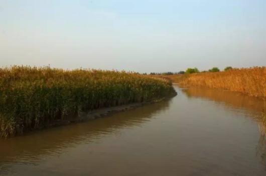 【旅游大文字】隐藏在魔都的三生三世美景