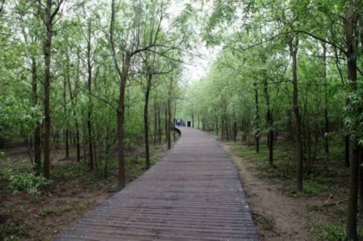 【旅游大文字】隐藏在魔都的三生三世美景