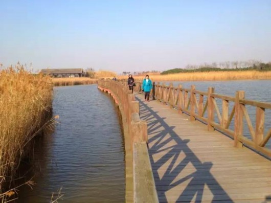 【旅游大文字】隐藏在魔都的三生三世美景