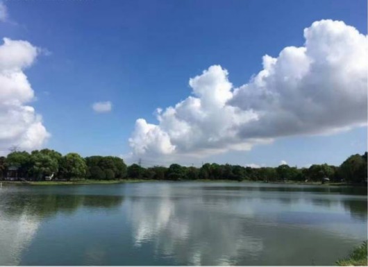 【旅游大文字】隐藏在魔都的三生三世美景