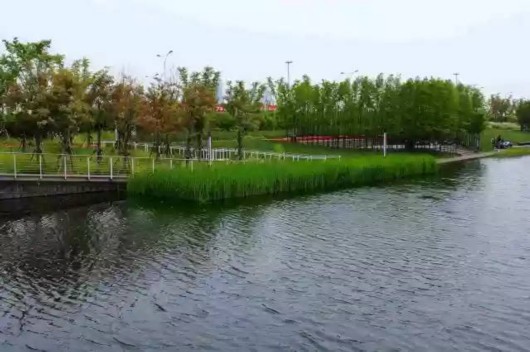 【旅游大文字】隐藏在魔都的三生三世美景