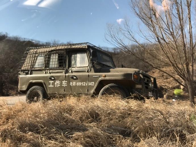 北京八达岭野生动物园游览轿车遭黑熊围堵