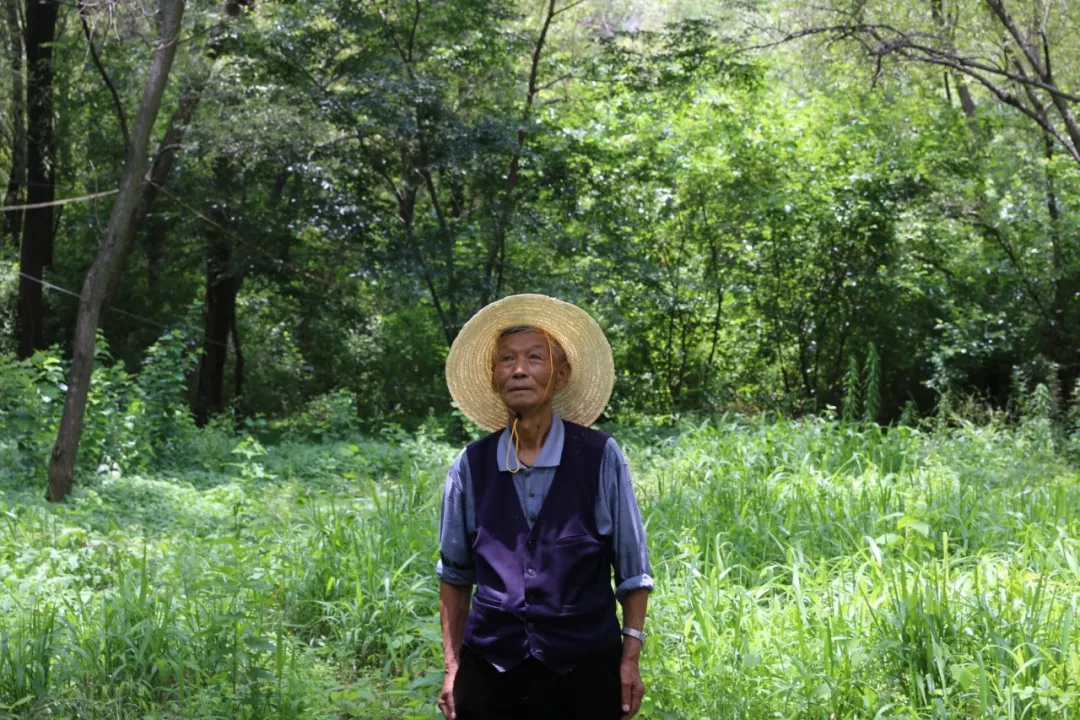 长江第一湾 金沙绿两岸