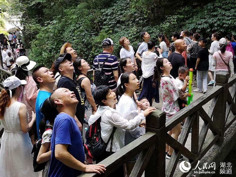 三峡最火景区“天赐清凉” 万人穿越大瀑布