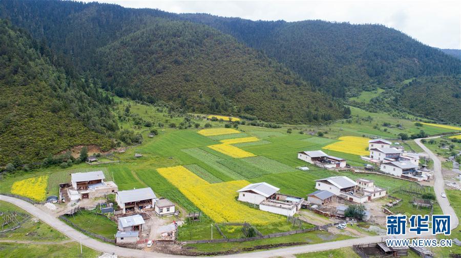 “绿水青山是我们共同的饭碗”——云南迪庆藏区普达措国家公园村民的“生态转身”