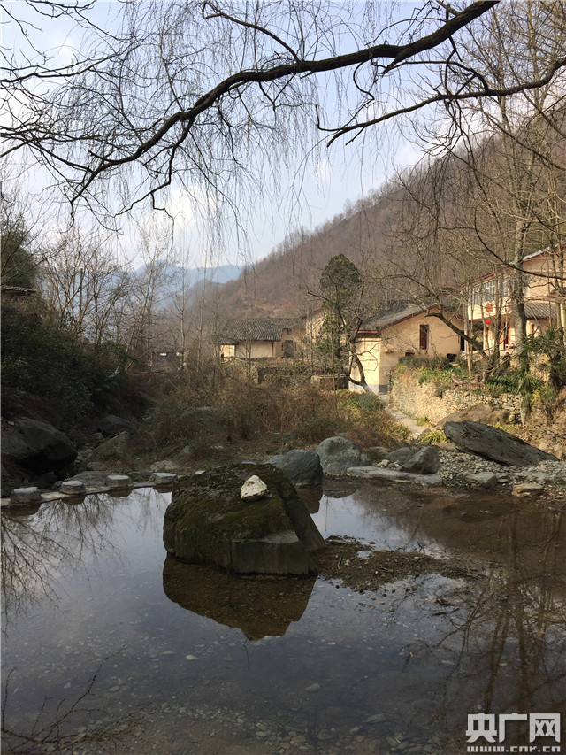 大山深处春光旖旎 康县乡村“风景这边更好”