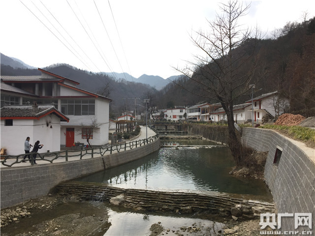 大山深处春光旖旎 康县乡村“风景这边更好”