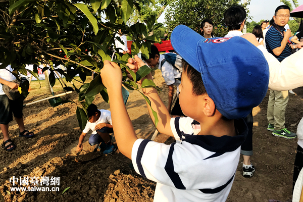 栽种共同的心愿——苏台青少年共植同根树