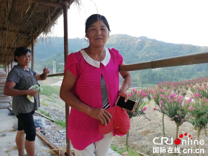 【脱贫攻坚在行动】贵州石阡葛宋村：一年苗圃路 富了穷山沟