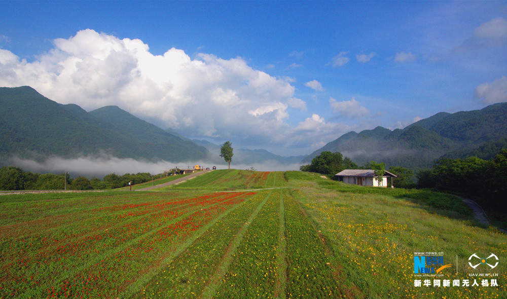 航拍重庆红池坝夏日农忙 成山间独特风景