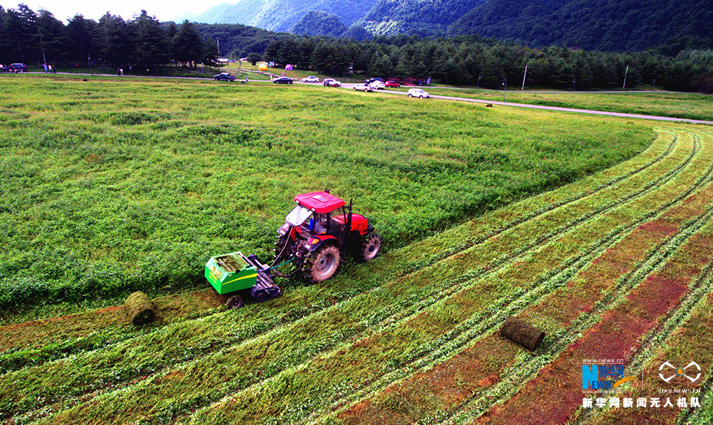 航拍重庆红池坝夏日农忙 成山间独特风景