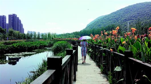 黑港”变身湿地公园