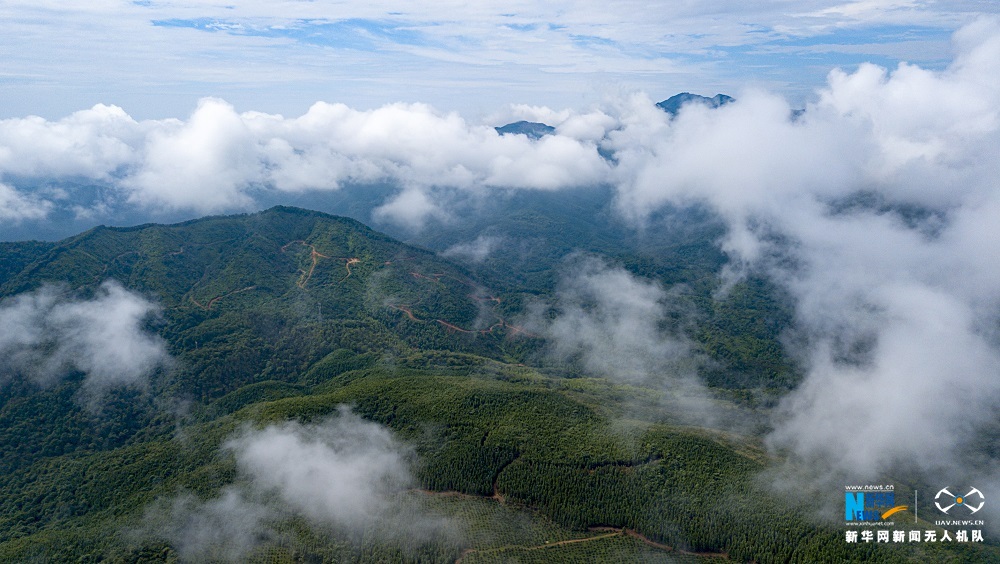 航拍江西大岗山：云雾绕青山 田园入画来