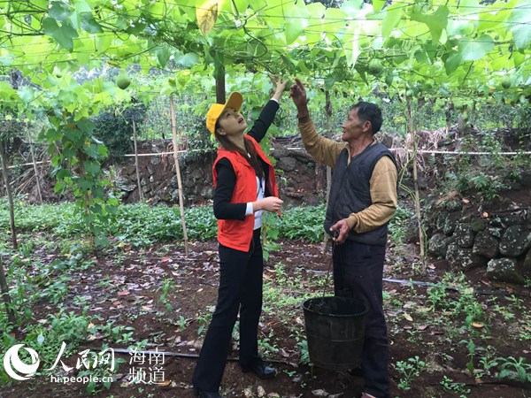 【食品农业】海口菜篮子集团扛起龙头担当