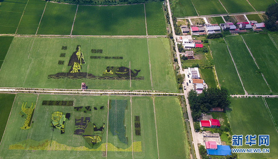 安徽淮南：航拍 天空之眼看大地 稻田画卷更靓丽