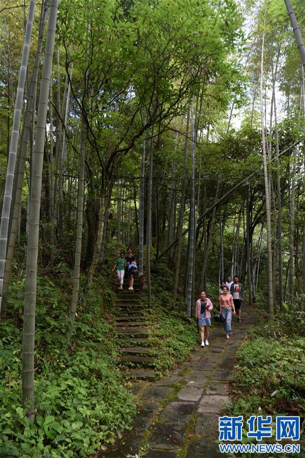 江西安福：感受山水风光 体验清凉一夏