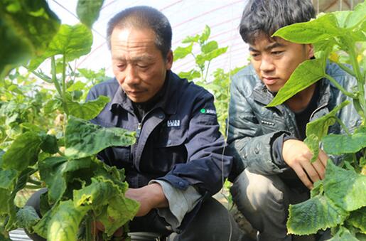 这家企业靠什么在沙漠扶贫30年