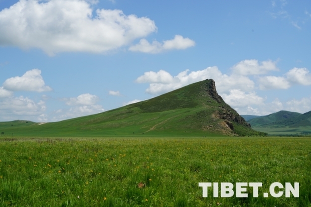 【新时代•幸福美丽新边疆】盛夏草原之旅，岂不美哉？ 来自最美乡村的邀请函：领略自然风光，感受草原文化