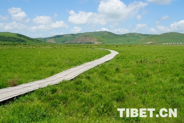 【新时代•幸福美丽新边疆】盛夏草原之旅，岂不美哉？ 来自最美乡村的邀请函：领略自然风光，感受草原文化