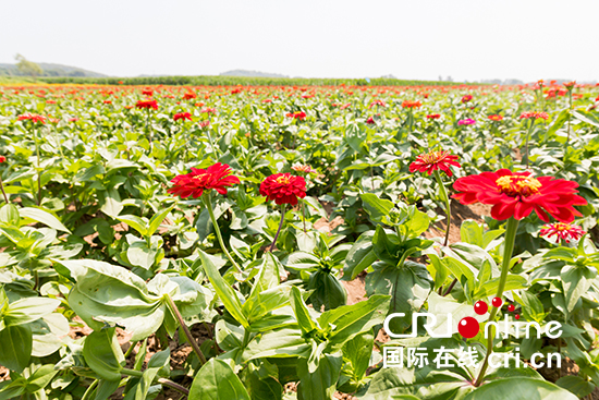 艺术节期间，每个周末都会有一场精彩演出恭候游客。_fororder_艺术节期间 每个周末都会有一场精彩演出恭候游客。