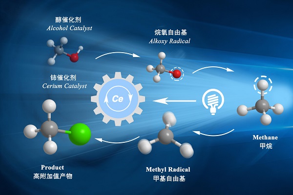 图片默认标题_fororder_15