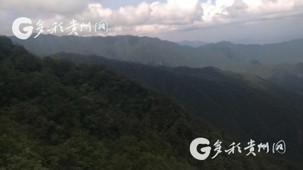 （旅游）“716旅游狂欢节”引客入黔 他们这样点赞贵州