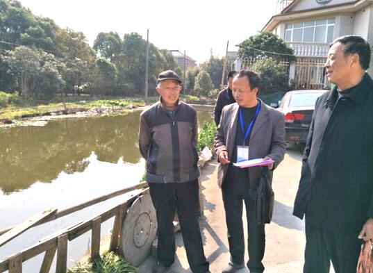 【区县】浦东周浦镇：“草根河长”助力中小河道整治