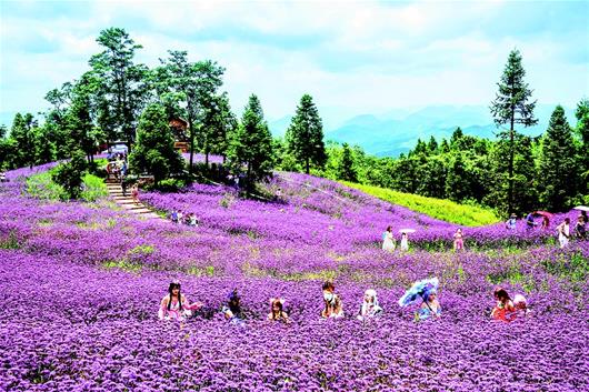 大山里的动漫节