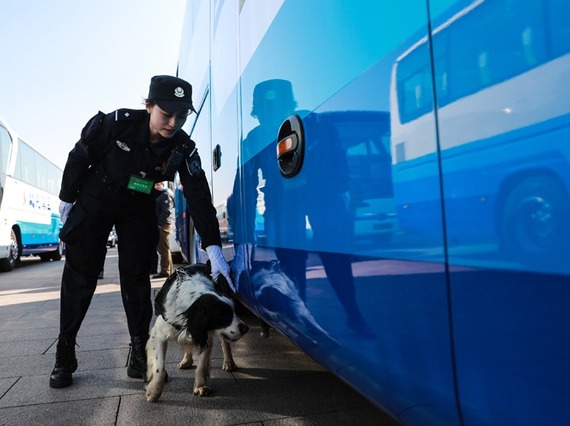 “萌宠”警犬上两会