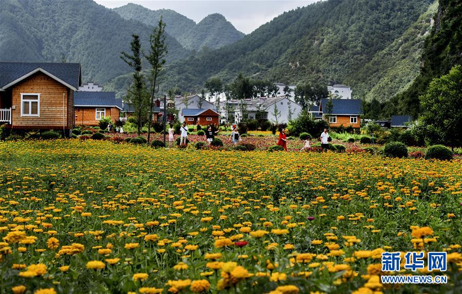 陕西洛南：鲜花木屋惹人醉