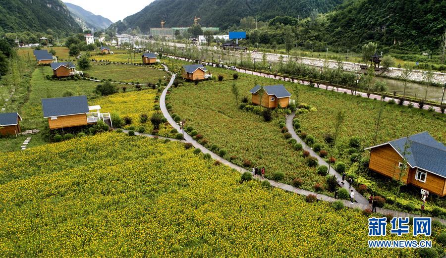 陕西洛南：鲜花木屋惹人醉