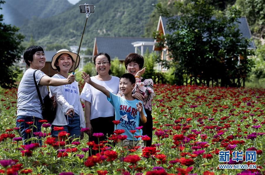 陕西洛南：鲜花木屋惹人醉