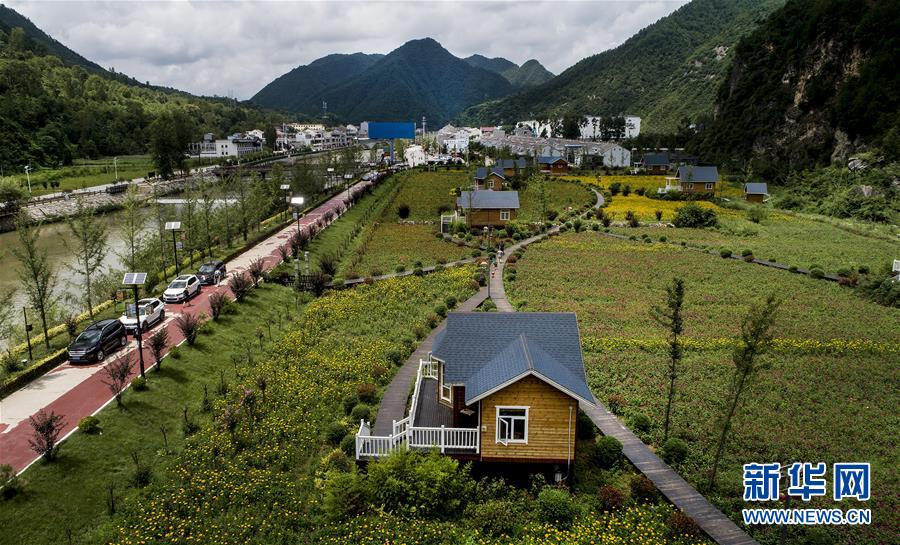 陕西洛南：鲜花木屋惹人醉