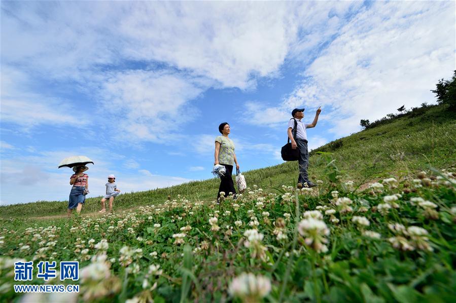 湖北保康：草原风光美