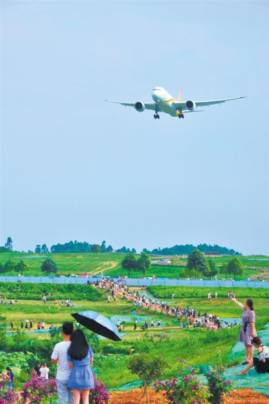 四川成都：赏格桑花海 观壮阔航域