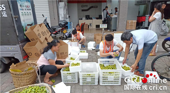 【区县联动】【铜梁】重庆铜梁区：地标品牌效应让小林砂糖李走向全国【区县联动 列表】重庆铜梁区：小林砂糖李走向全国