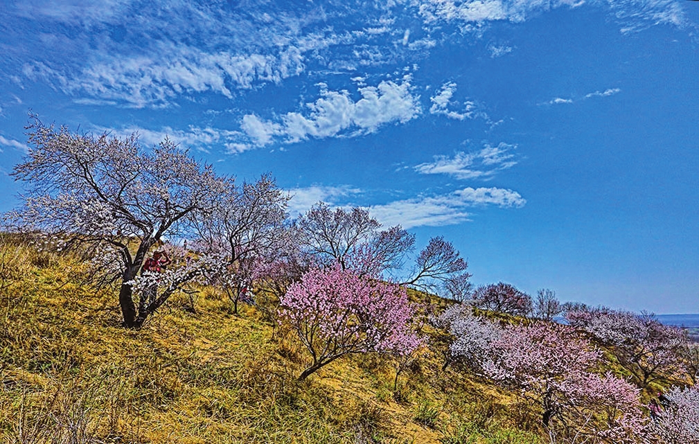 吉林松原：诗意栖居地 生态美家园