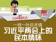 【大国看两会】20国大使谈两会 中国两会满满正能量