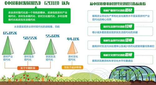 走中国特色的乡村全面振兴之路（聚焦图）