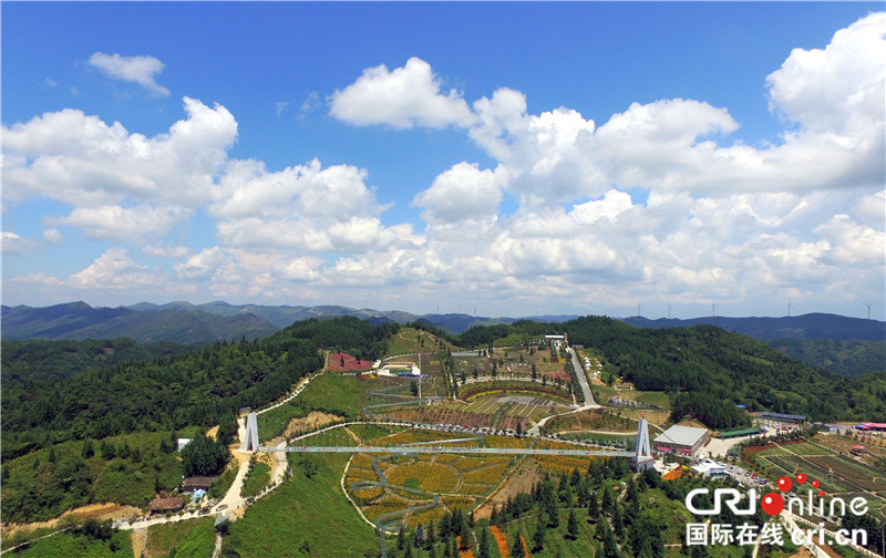 【区县联动】【石柱】重庆石柱云中花都景区：纳凉避暑好去处