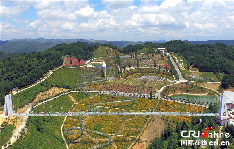 【区县联动】【石柱】重庆石柱云中花都景区：纳凉避暑好去处