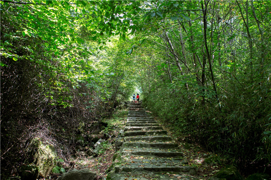 陕西勉县云雾山  夏日避暑好去处