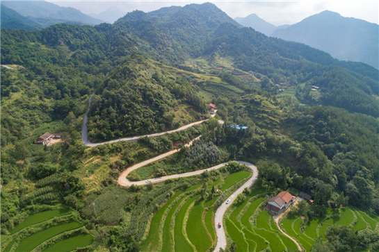 陕西勉县云雾山  夏日避暑好去处