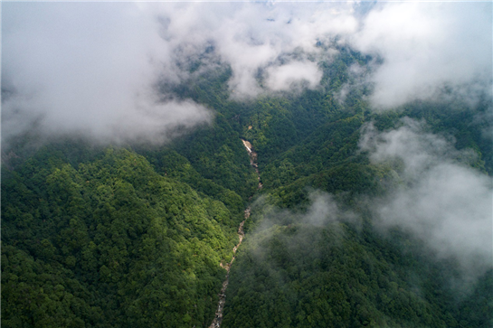 陕西勉县云雾山  夏日避暑好去处