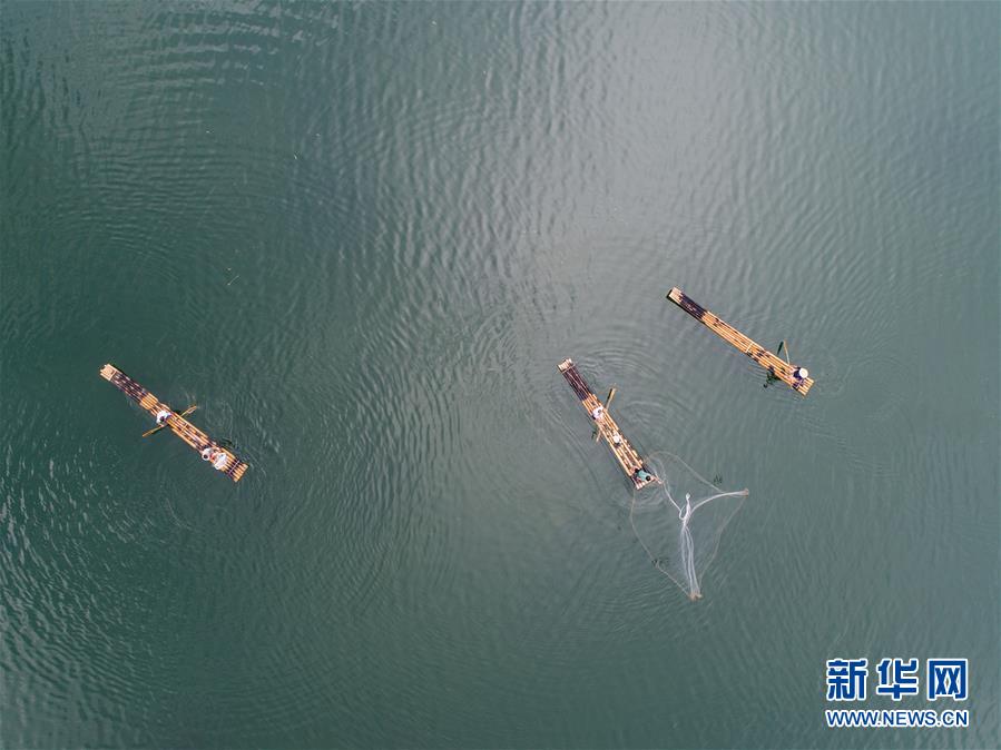 千岛湖开渔展现“水清鱼欢”美丽生态