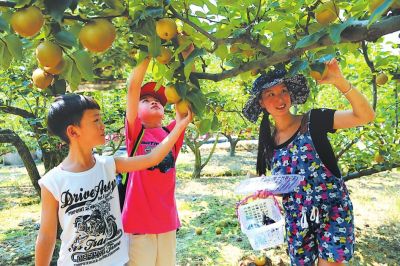 【旅游列表】【滚动新闻】【地市 三明】“赏花经济+文体活动” 三明建宁打造旅游发展新模式