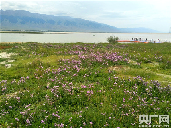 【专题 媒体报道荟萃-标题列表】河南旅游援疆绘彩哈密“湖光山色” 活力巴里坤美景正当时（页面标题：央广网|河南旅游援疆绘彩哈密“湖光山色” 活力巴里坤美景正当时）