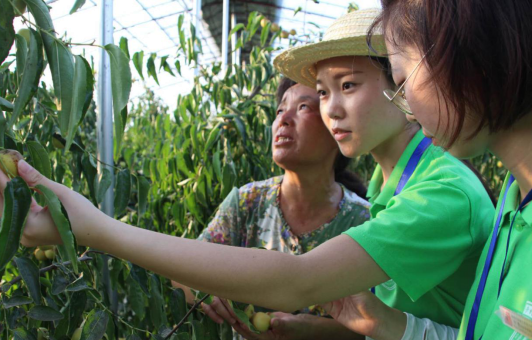 陕西大学生走进渭南大荔助力教育扶贫 实践筑梦青春