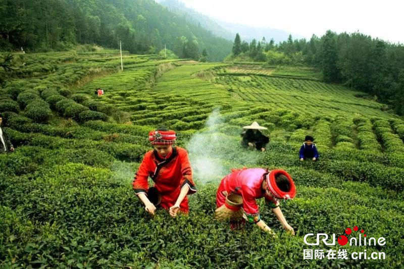 湖北利川“十万火急送清凉”活动启动